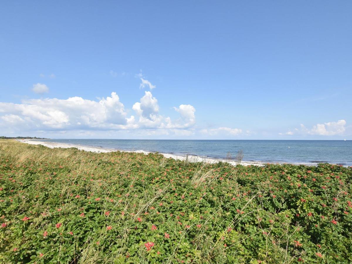 Charming Apartment In Pugholz Near Sea Hasselberg  Exteriér fotografie